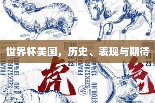 世界杯美国，历史、表现与期待