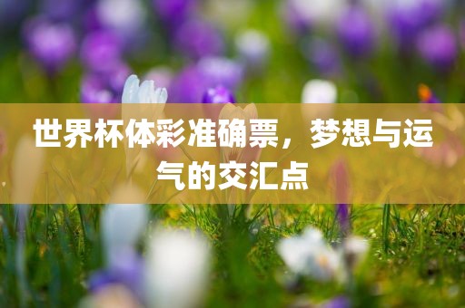 世界杯体彩准确票，梦想与运气的交汇点