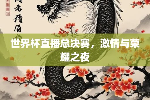 激情与荣耀之夜