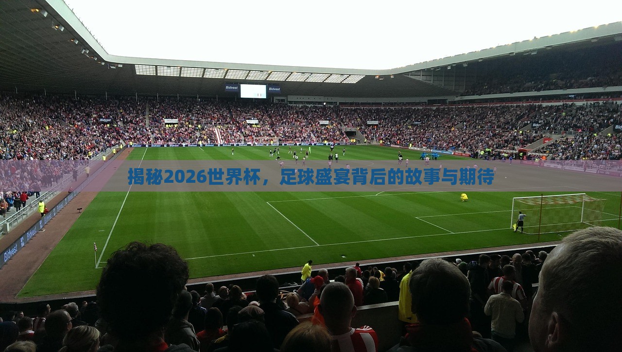 揭秘2漯河市盈旭机械设备有限公司026世界杯，足球盛宴背后的故事与期待